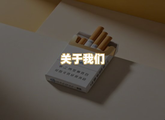 关于我们
